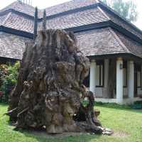 ชมศิลปะวัฒนธรรมล้านนา