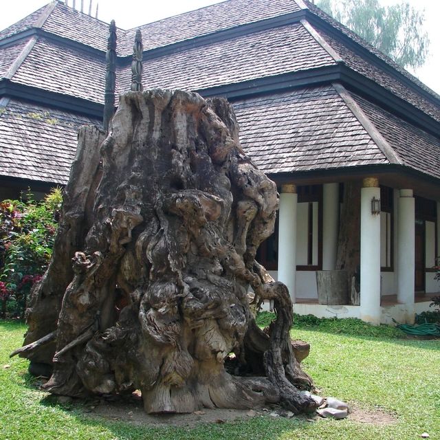 ชมศิลปะวัฒนธรรมล้านนา