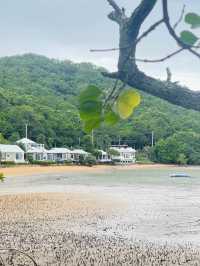 หนีแมวไป Seashell Village Beach Resort  🐚