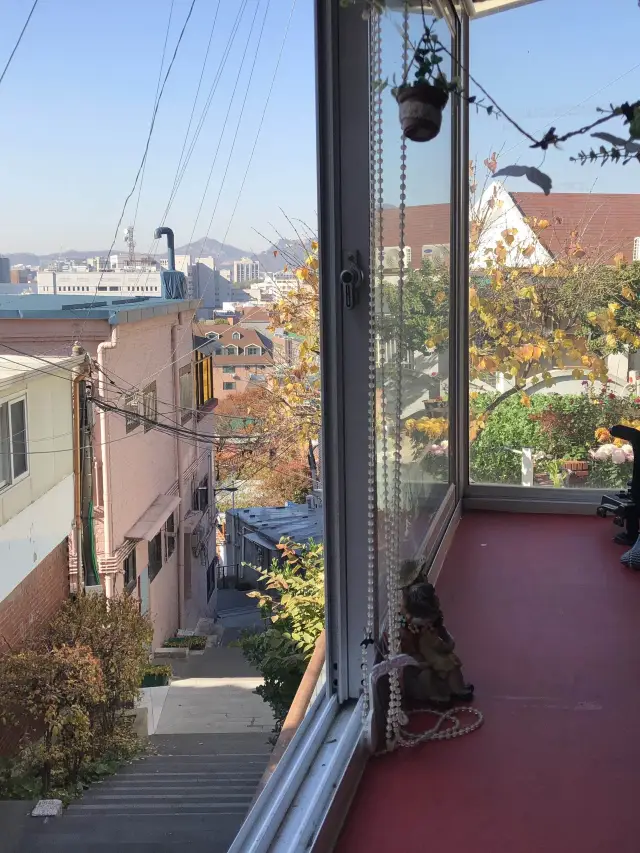  cute cafes + picturesque view in Seoul