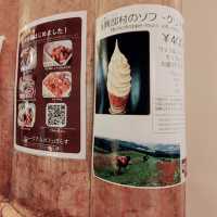 北海道大学　ミュージアムカフェ　ポラス