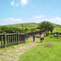 Summer Hike to Yangmingshan
