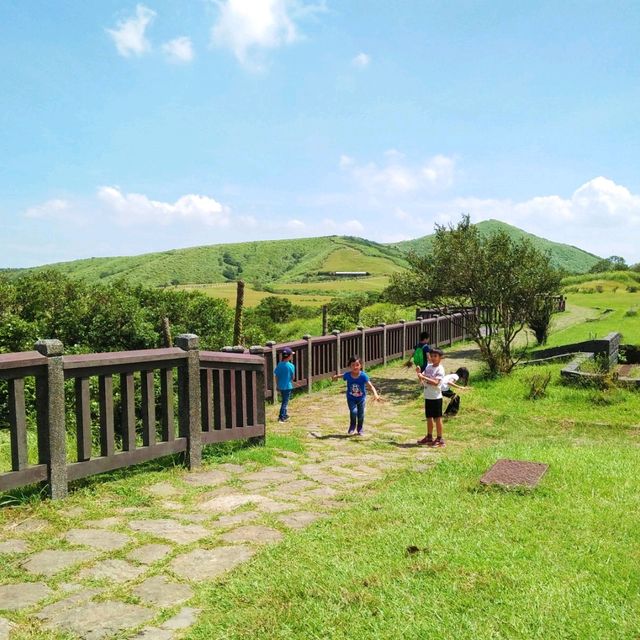Summer Hike to Yangmingshan