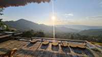 YAYO FARM Doichang