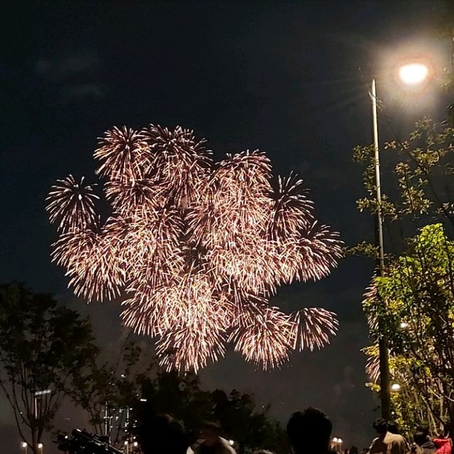 Seoul Fireworks Summer Festival at Hangang Park
