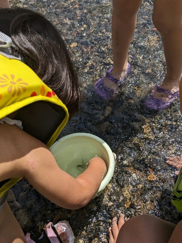 【京都で水遊び】上賀茂神社スグ鴨川公園