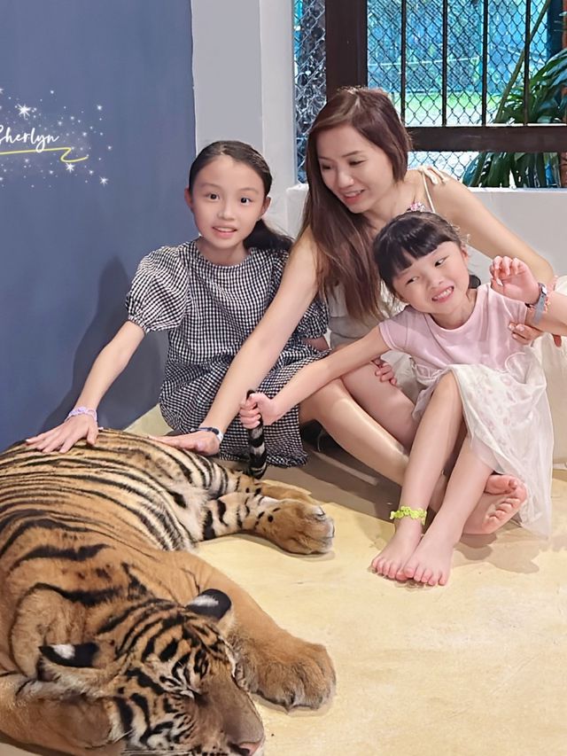 🇹🇭芭提雅老虎園 - 近距離同老虎bb接觸🐅