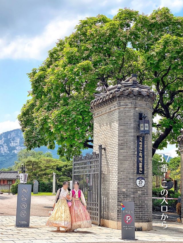 【韓国旅行】あの時代のソウルへ✨国立民族博物館『思い出の道』
