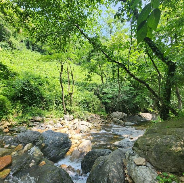 늦여름에 남산계곡에서 힐링을~♡