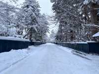 陸奧小京都~冬季角館武家屋敷雪景｜新幹線復古車站