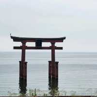 滋賀琵琶湖．白鬚神社 - 夢幻水中鳥居