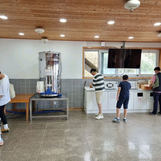 가을의 시작 억새보러가자