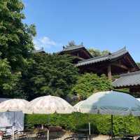 조용한 도자기카페 ‘코유’🌳🦥