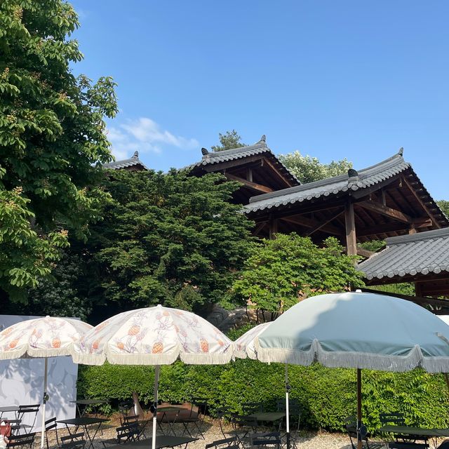조용한 도자기카페 ‘코유’🌳🦥