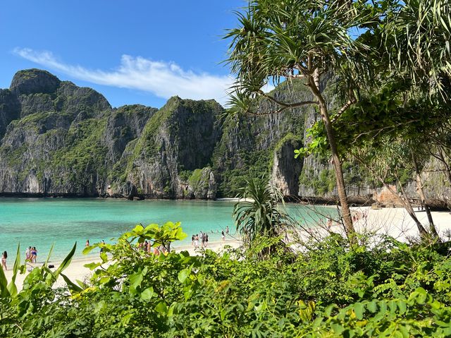 The reputable Maya Bay. 