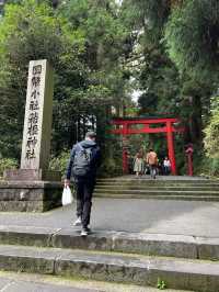 東京近郊🍀秋天箱根2日1夜行程規劃 2023