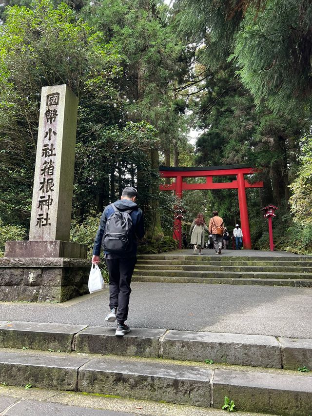 東京近郊🍀秋天箱根2日1夜行程規劃 2023