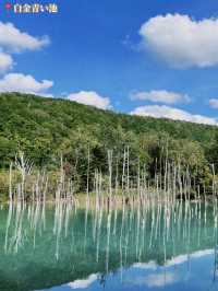 GWにおすすめ🧡美瑛で行きたいスポット3選☺️⁡🐄🌿‬🥛🥣【北海道】