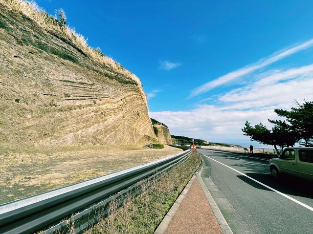 伊豆大島のバームクーヘン