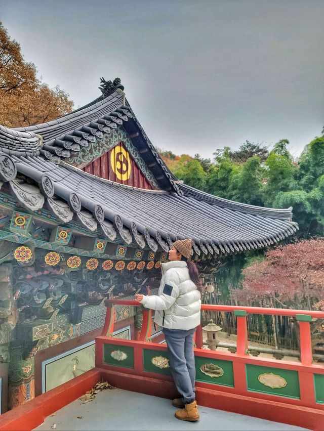 한적하게 거닐기 좋은 아름다운 홍룡사🍂
