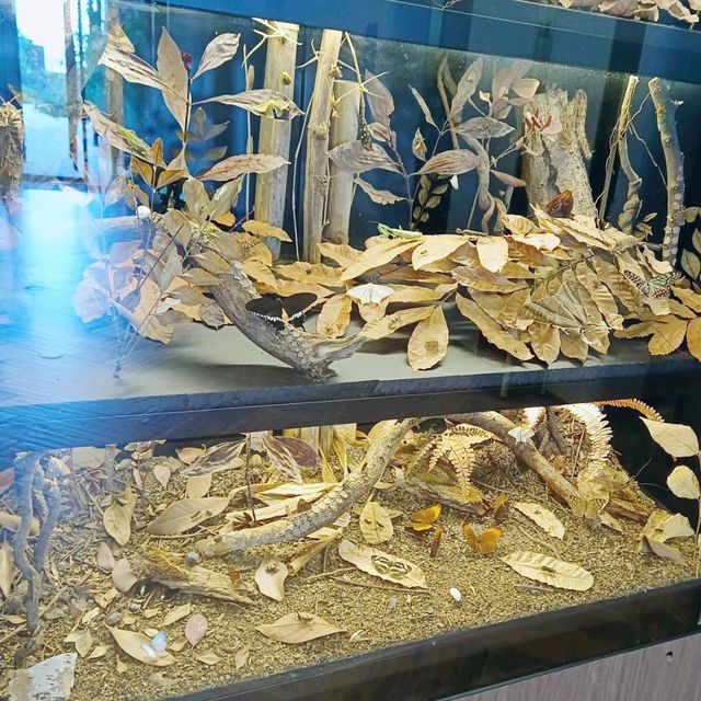 香港最有特色的 K11 MUSEA！滿足家人以及毛小孩的好去處！