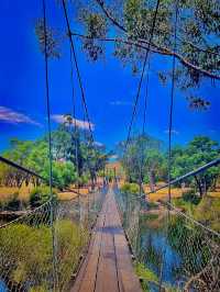 Suspension Bridge📸🌉d’ 💙 i have for WA!🫣🤪