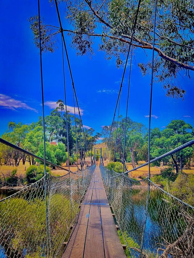 Suspension Bridge📸🌉d’ 💙 i have for WA!🫣🤪