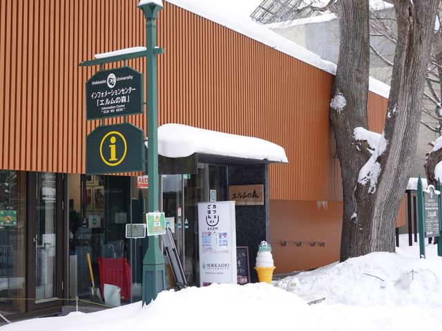 【北海道】北大キャンパス内のカフェでモーニング！