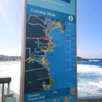 Sydney Bronte-Bondi Coastal Walk