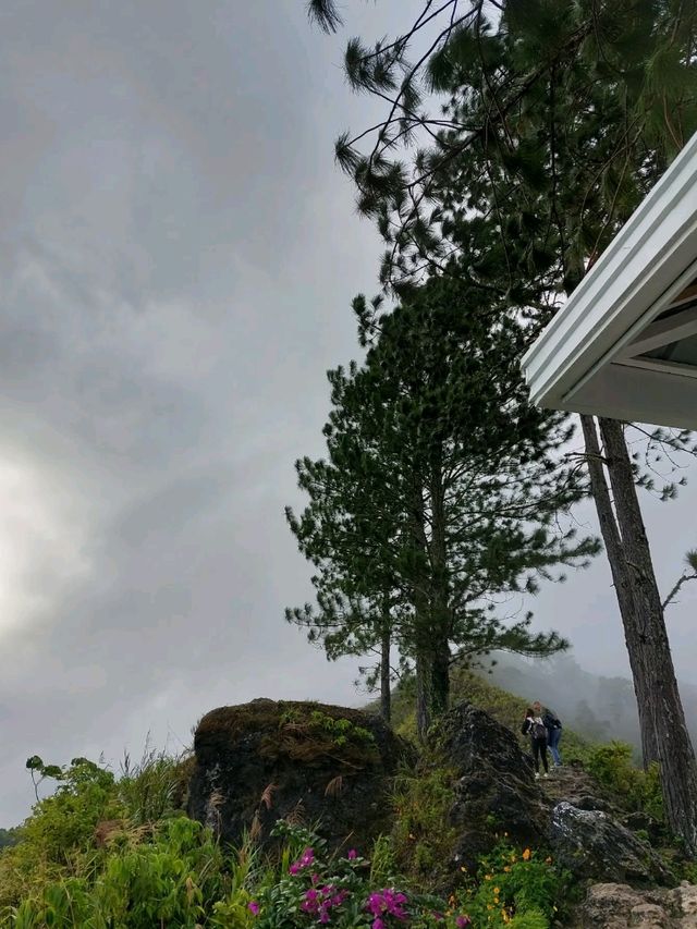 Unfiltered Nature 🌿