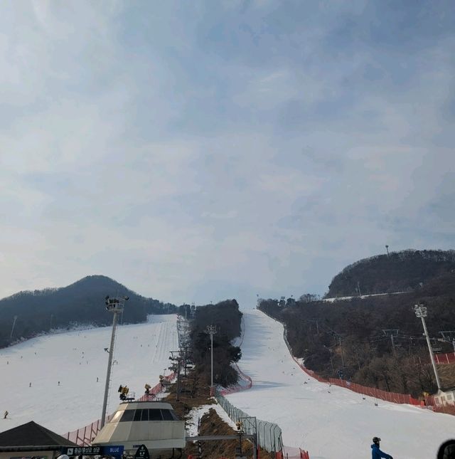 หนาวนี้ไปเล่นสโนว์บอร์ดที่ Jisan Forest Resort ❄️