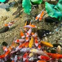 테마가 다양한 코엑스 아쿠아리움🐠🫧