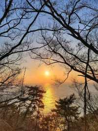 부산을 일찍 시작하는 방법! 아침이 아름다운곳🌅