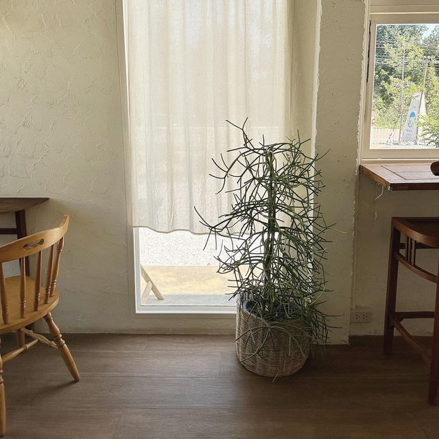 Oria cafe - Khaoyai