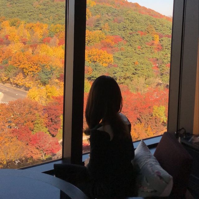 뷰가 끝내주는 호텔.. 그랜드 하얏트 서울🛋️