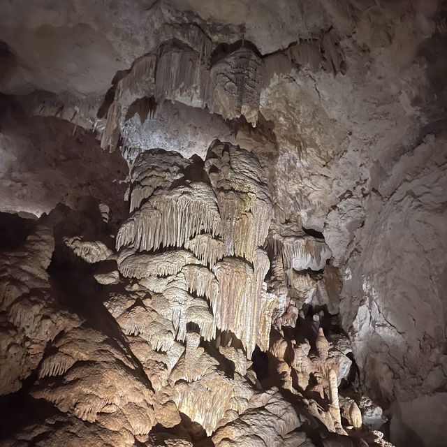 Explore Jewel Cave!