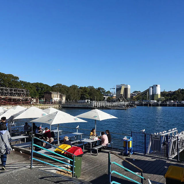 ☀️Sydney Fish Market｜生蠔刺身我來了！不能錯過的悉尼海鮮市場