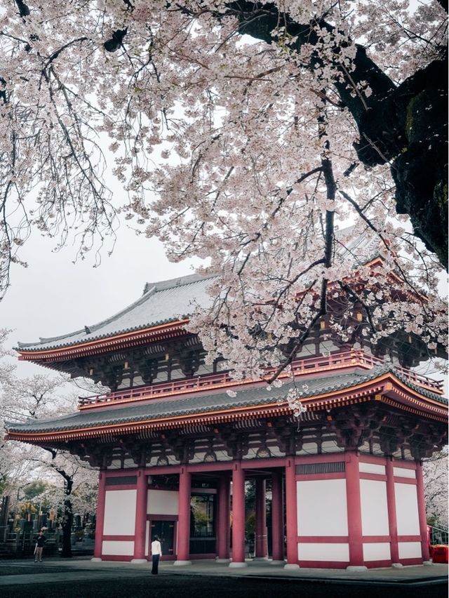 Ikegami Honmon-ji temple, Tokyo 🇯🇵