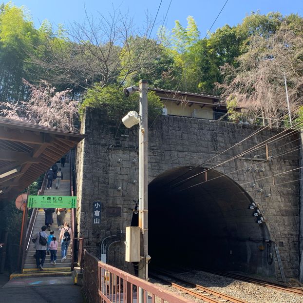 京都嵯峨野小火車🌸 GO GO GO~~~