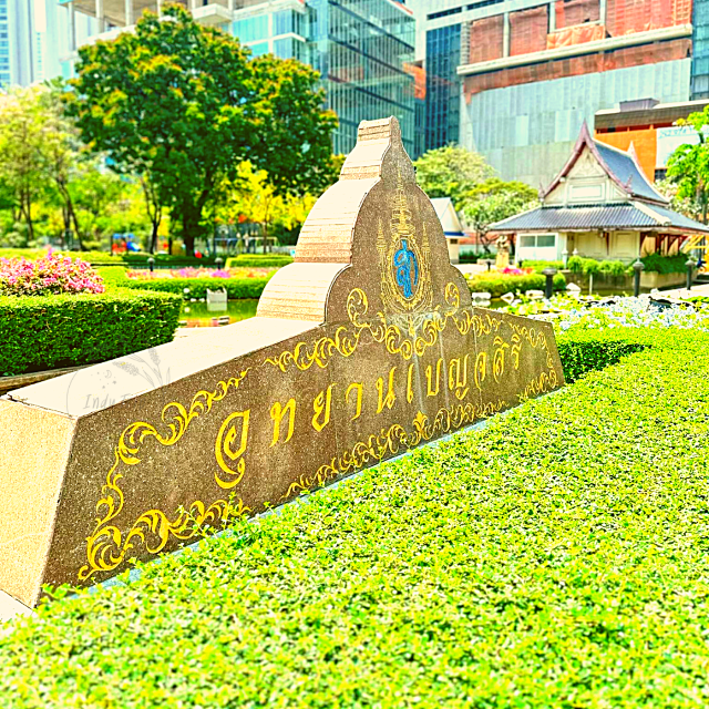 🌷ปอดของพร้อมพงษ์
