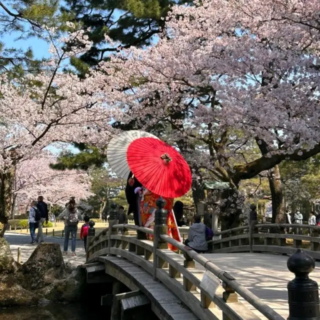 The amazing Kenroku-en Garden