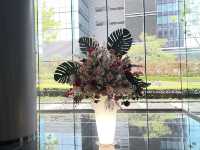 東京まだまだ桜満喫できるシバザクラ
