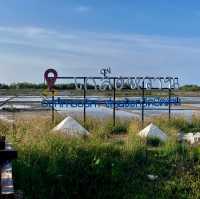 Sweet Salt Farm