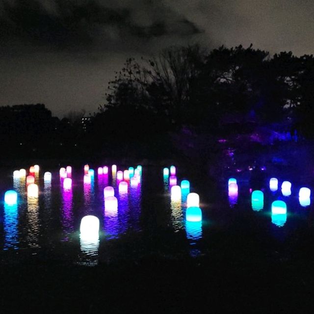 燈光與大自然的奇妙結合🌌🎡