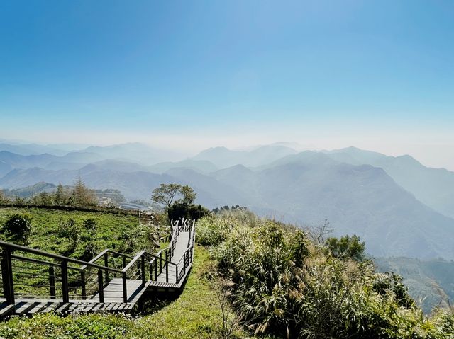 🍵 6 Walking Trails at Shizhuo, Alishan 🍃
