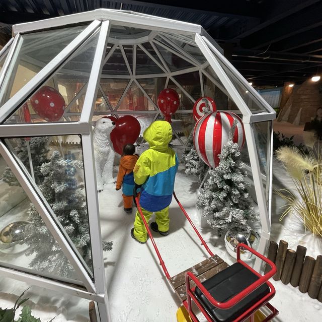 去玩雪啦！九龍出發只需50分鐘車程