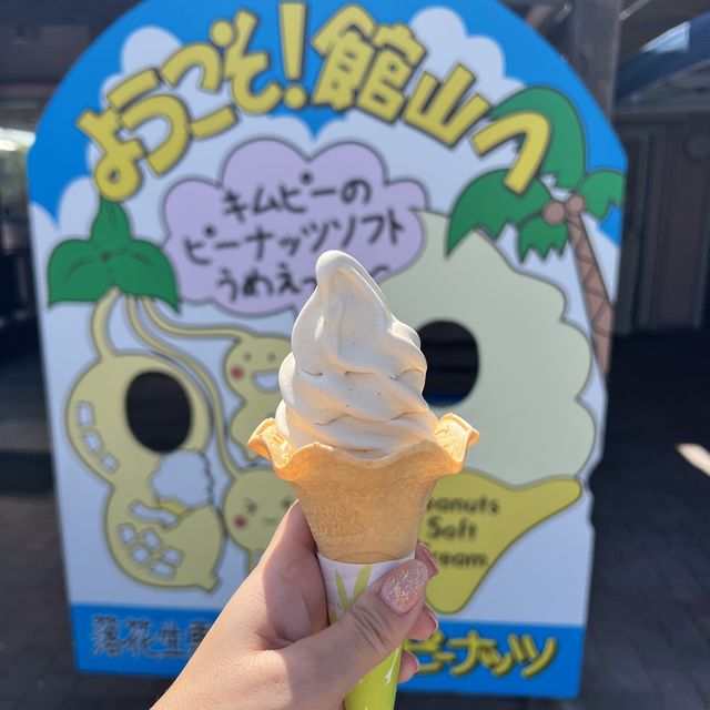 【千葉】館山に行ったら食べたい絶品ソフトクリーム