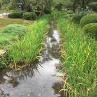 金澤兼六園 日式宮廷園景🗾