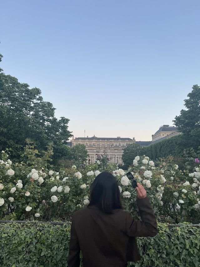 cannot get enough of parks & gardens in paris 🫶🇫🇷⛲️🎶