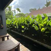 Bali Vibe in Ipoh